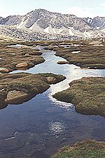 Upper Basin